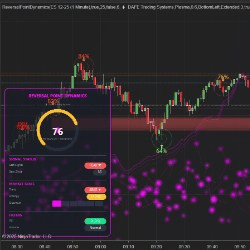 ReversalPointDynamics